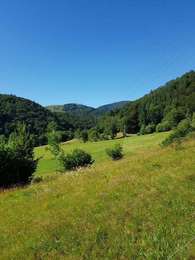 דירות Schönau im Schwarzwald Wiesenblume מראה חיצוני תמונה