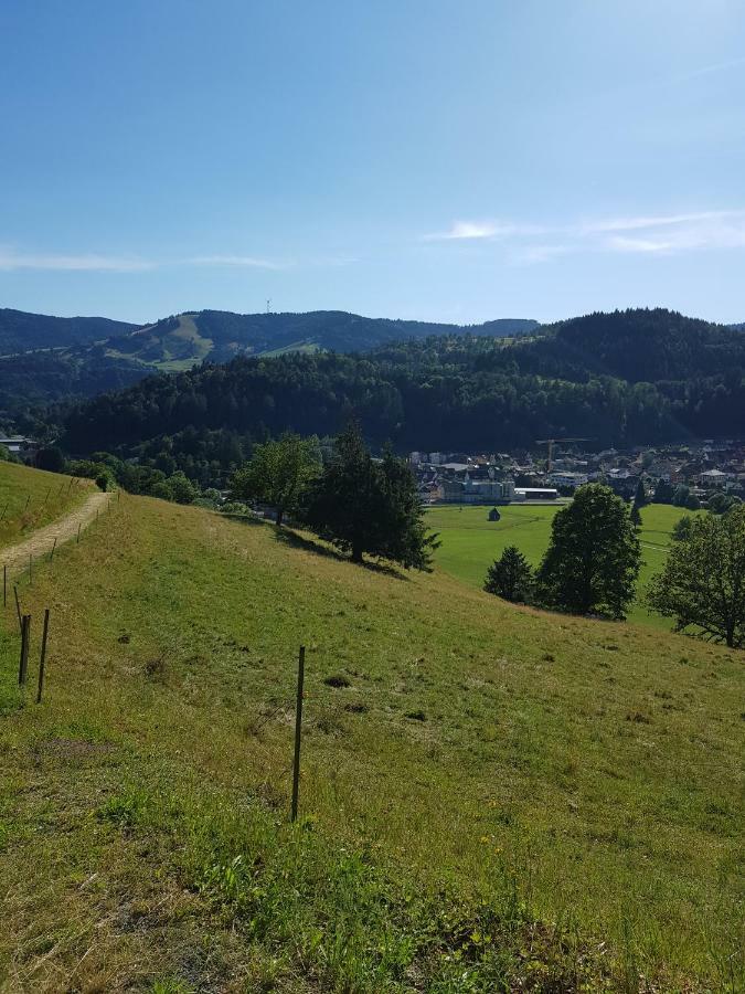 דירות Schönau im Schwarzwald Wiesenblume מראה חיצוני תמונה
